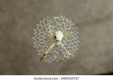 CQTV重庆在线直播观看高清实时频道