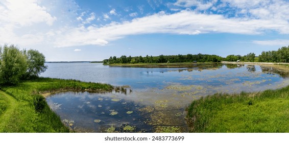 金道注册平台：开启您的财富之旅，轻松赚取收益