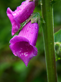 金秋娱乐：畅享秋季户外活动的最佳选择