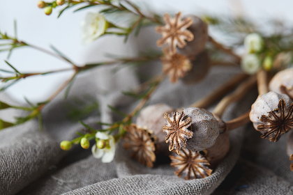 金莎娱乐节目制作背后的创意团队与观众互动研究 金莎娱乐节目制作背后的创意团队与观众互动研究