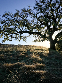 CNN在线直播:全球热点新闻实时追踪与深度解析 CNN在线直播:全球热点新闻实时追踪与深度解析