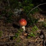 雀友汇娱乐:打造最具人气的线上麻将平台 b784fs241t