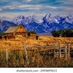 雷速体育官方下载:全面解析其功能与用户体验 c6qluu7rk