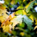 长江国际娱乐:让你尽享无限娱乐与放松 y4zwab2e3